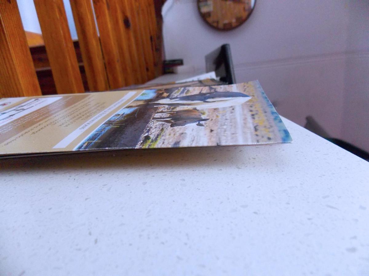 Trap Houz Backpackers Hostel Kaapstad Buitenkant foto